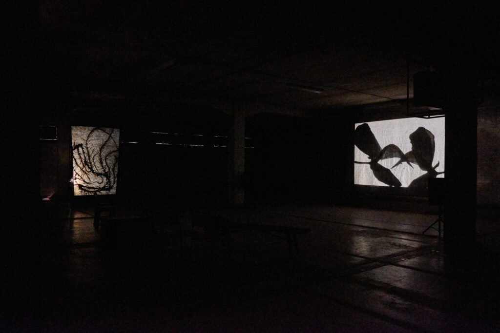 pareidolia instalation view 01