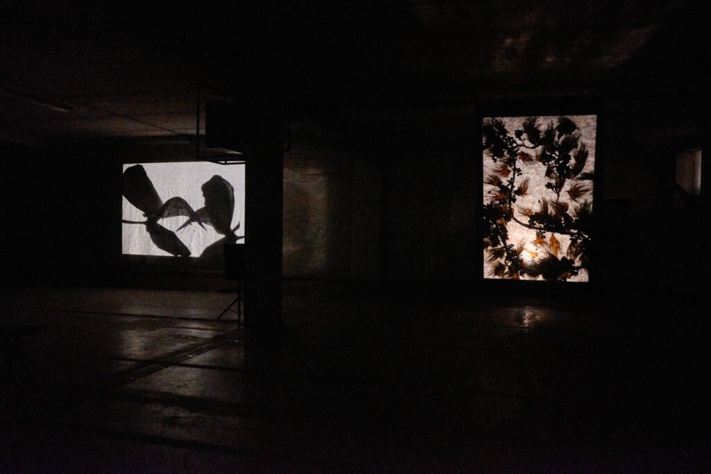pareidolia instalation view 04