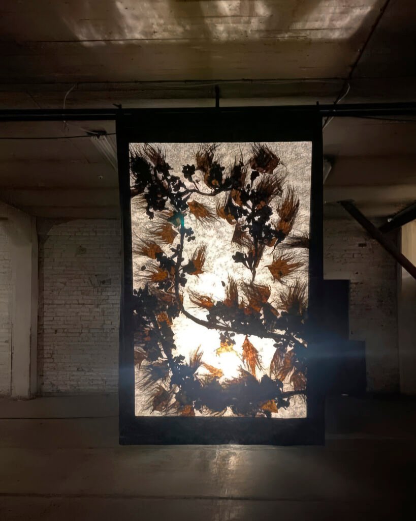 pareidolia instalation view 10