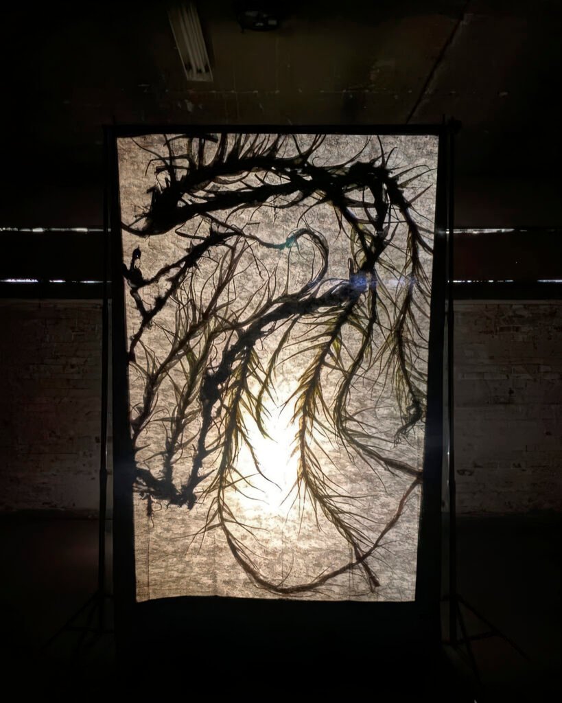 pareidolia instalation view 11