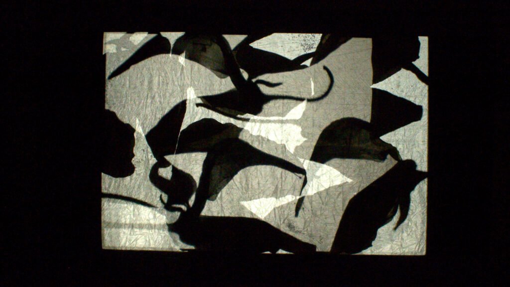 pareidolia expanded cinema 03