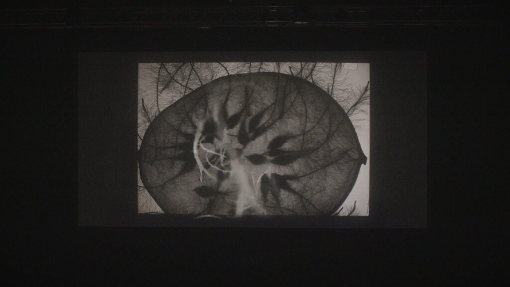 Metanoia Live Expanded Cinema Performance at Berlinale Expanded Forum 2026