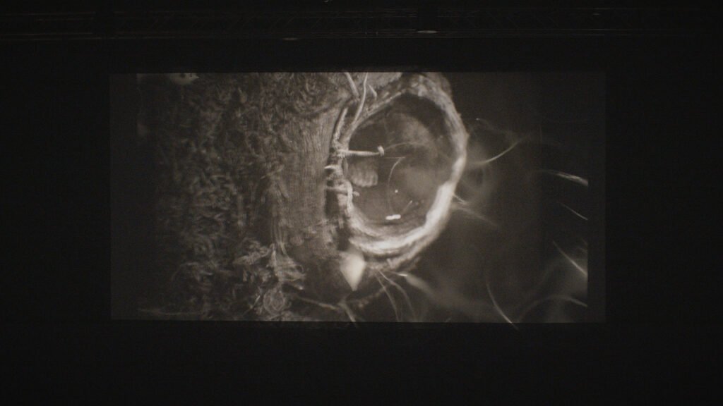 Metanoia Live Expanded Cinema Performance at Berlinale Expanded Forum 2026